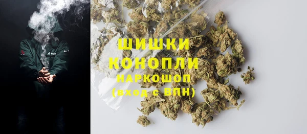 ешки Новодвинск