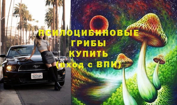 дживик Новозыбков