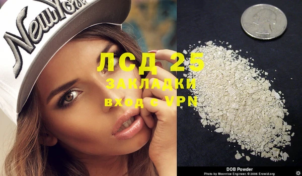 ешки Новодвинск