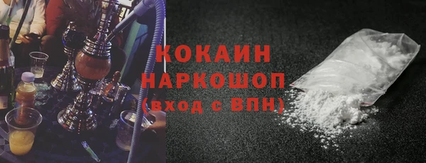 дживик Новозыбков
